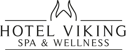 hotel viking logo